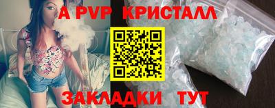 прущие грибы Кандалакша