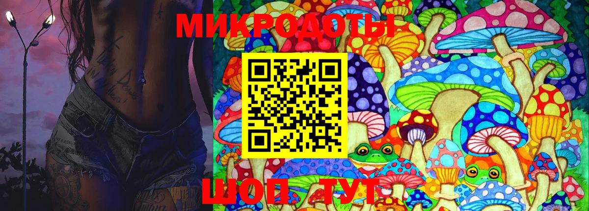 Псилоцибиновые грибы Cubensis  Вход с VPN  Лесной 