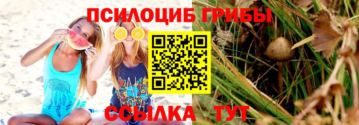 Псилоцибиновые грибы Лесной