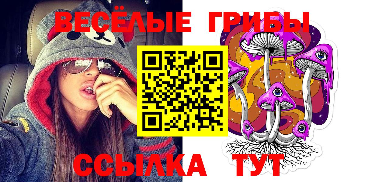 Псилоцибиновые грибы Psilocybe Лесной